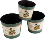 Deziworkz Plant Container Set