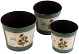Deziworkz Plant Container Set