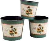 Deziworkz Plant Container Set