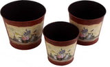 Deziworkz Plant Container Set