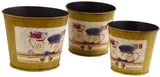Deziworkz Plant Container Set