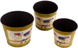 Deziworkz Plant Container Set