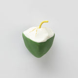 LittleThings Coconut Fridge Magnet
