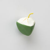 LittleThings Coconut Fridge Magnet