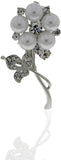 Anuradha Art Silver Polished Brooch