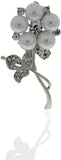 Anuradha Art Silver Polished Brooch