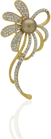 Anuradha Art Silver Polished Brooch