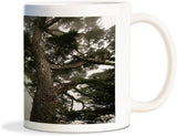 Rockmantra Fogg Tree Ceramic Mug