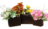 Shreewardhan Decor Beautifully Designed Glossy Finish Different Size Plant Container Set