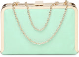 Dressberry Green Synthetic  Clutch