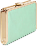Dressberry Green Synthetic  Clutch