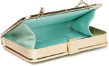 Dressberry Green Synthetic  Clutch