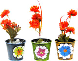 Go Hooked Mini Table Plant Container Set