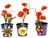 Go Hooked Mini Table Plant Container Set