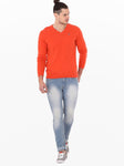 American Swan V-neck Solid Men's Pullover