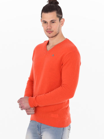 American Swan V-neck Solid Men's Pullover