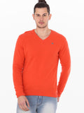 American Swan V-neck Solid Men's Pullover