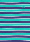 United Colors of Benetton Striped Round Neck Green, Purple T-Shirt