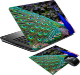 PRINT SHAPES Peacock Feather Laptop Skin with Mouse pad Combo Set
