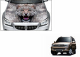 Speedwav 232358 Hood Car Sticker