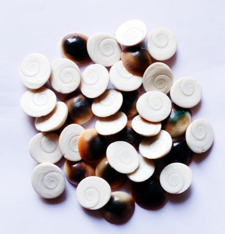 Astrodidi Gomati Chakra (21 Pieces) for Brings Prosperity, Happiness, Good Health & Wealth, Protect Children from evil effects and increasing your Spirituality Showpiece  -  2 cm
