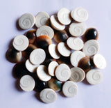 Astrodidi Gomati Chakra (21 Pieces) for Brings Prosperity, Happiness, Good Health & Wealth, Protect Children from evil effects and increasing your Spirituality Showpiece  -  2 cm