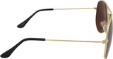AAO+ Aviator Sunglasses