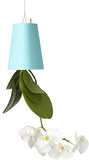 Inspired Livingg Sky Plant Container Set