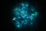 Digilight 200 inch Blue, White, Yellow Rice Lights