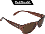 Dark Image Wayfarer Sunglasses