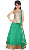 Galexy Fashion Self Design Girl's Lehenga, Choli and Dupatta Set