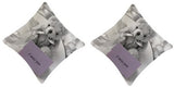 Amore Abstract Cushions Cover