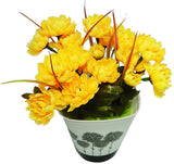 Go Hooked Bonsai Assorted Artificial Plant  with Pot