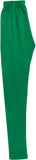 Shiyara Girl's Green Leggings