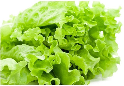Agricart Lettuce Seed