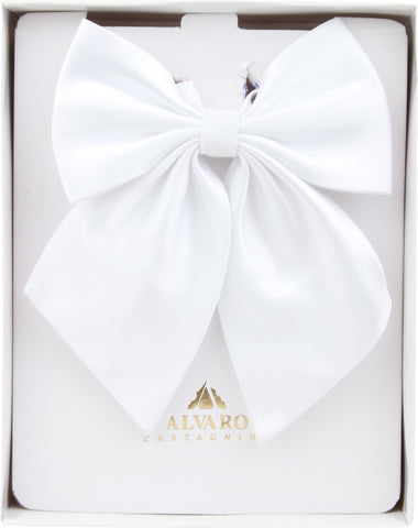 Alvaro Solid Tie