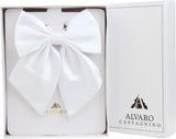 Alvaro Solid Tie