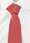 Alvaro Polka Print Tie