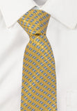 Alvaro Self Design Tie