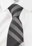 Alvaro Striped Tie