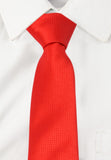 Alvaro Self Design Tie