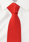 Alvaro Checkered Tie