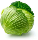 E-plant Culinary Vegetable Seed