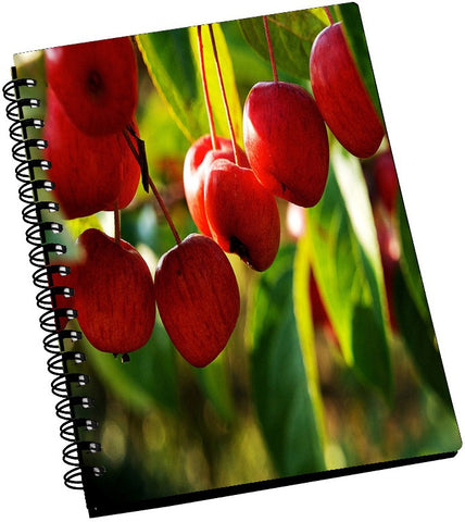 AMY Red Fruits A5 Notebook Spiral Bound