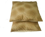 Aapti Abstract Cushions Cover