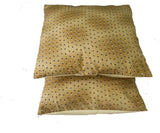 Aapti Abstract Cushions Cover