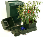 Autopot Plant Container Set