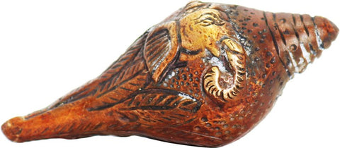 Ark Creation Decorative Shankh