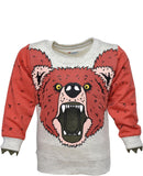 Pepito Full Sleeve Printed Boy's Sweatshirt