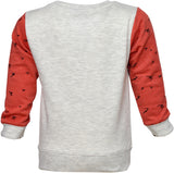 Pepito Full Sleeve Printed Boy's Sweatshirt